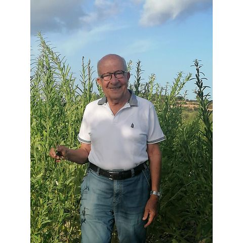Az. Agric. Cassar Scalia Corrado
